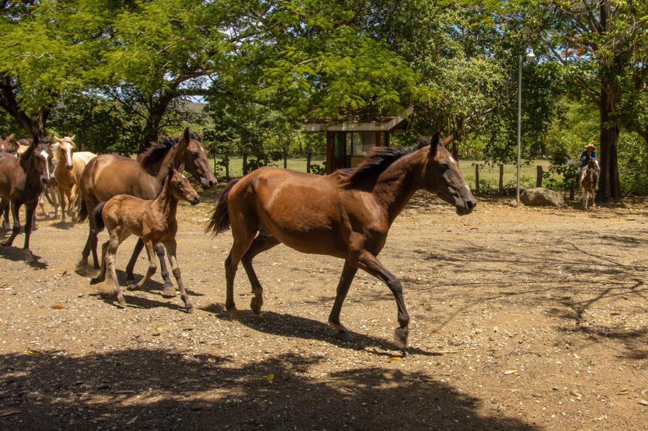 Rancho Humo Estancia Puerto Humo (Guanacaste) Exterior foto